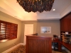 Stained Shutters